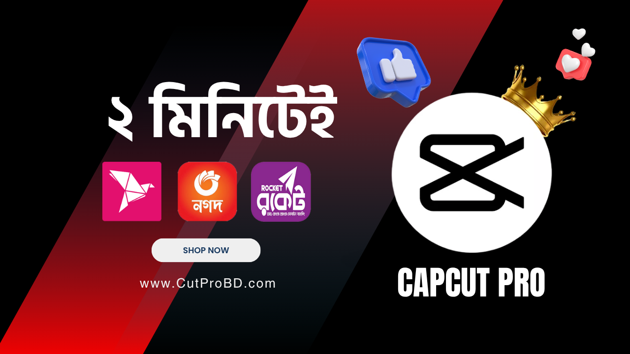Capcut Pro Subscription Bangladesh