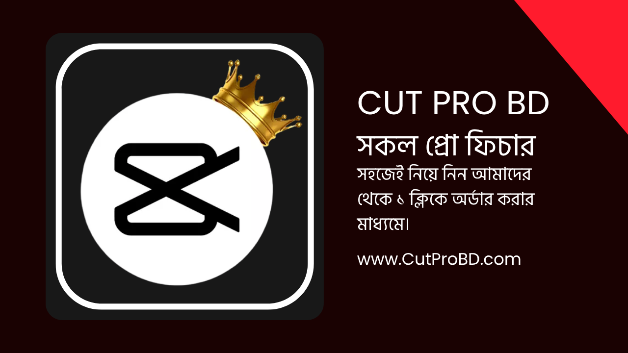 Capcut Pro Subscription bd